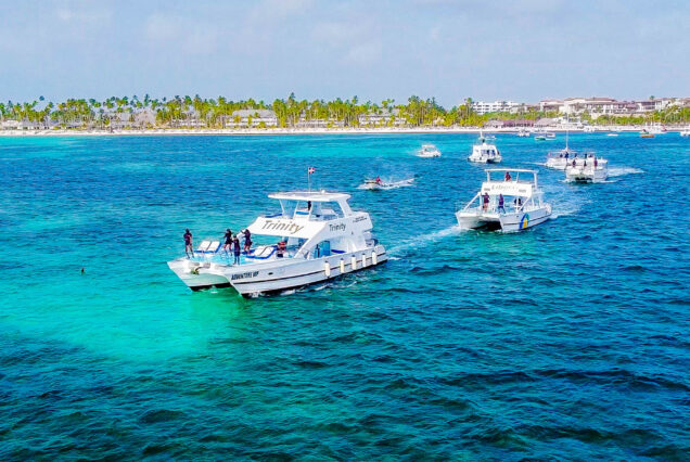 Isla Saona Vip